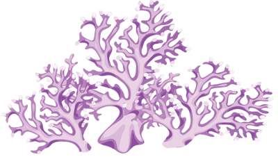 Coral