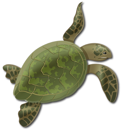 Turtle