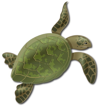 Turtle